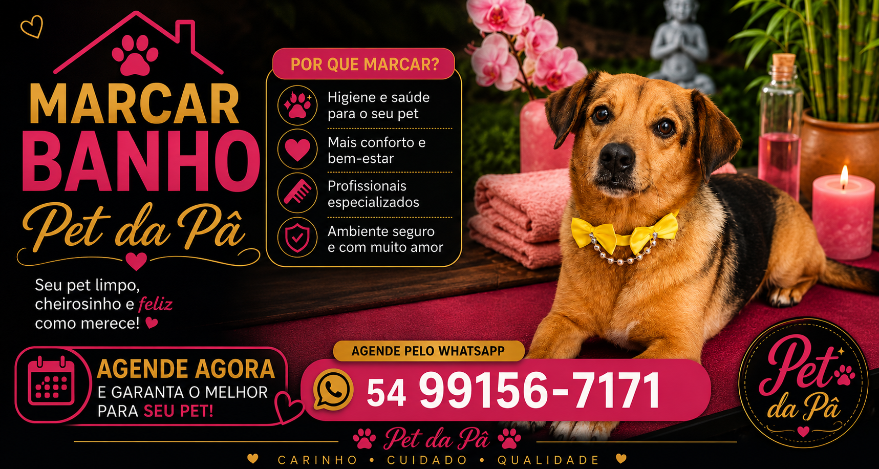 Promoções do pet